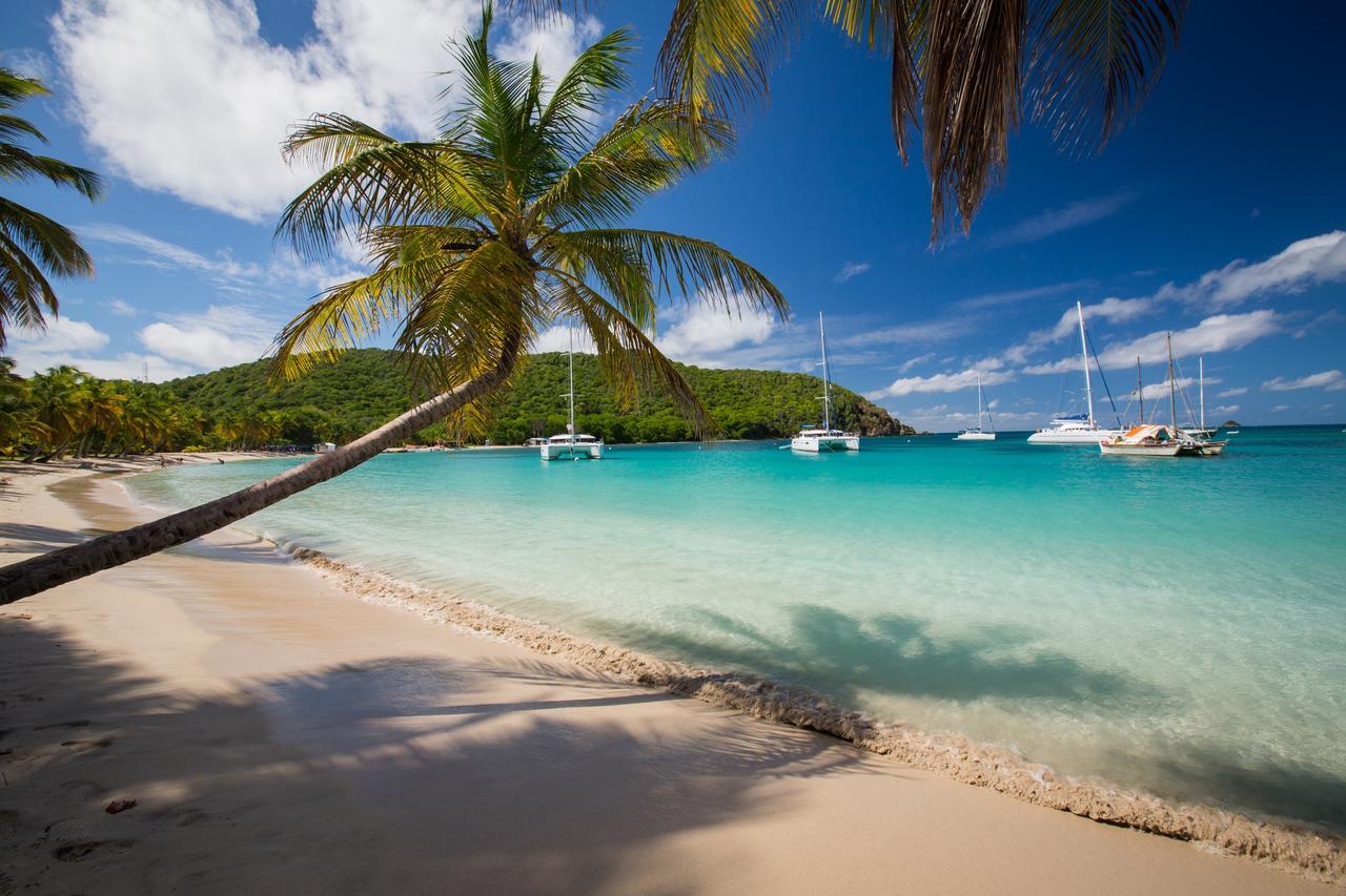 Готель Salt Whistle Bay Retreat Mayreau Island Екстер'єр фото